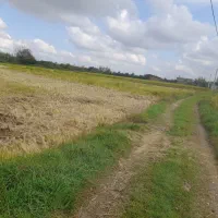 ۷۹۳ متر زمین در شهید آباد بندپی|فروش زمین و ملک کلنگی|خوش‌رودپی, |دیوار