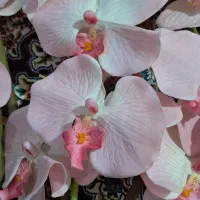 گل خارجی|گل مصنوعی|نهاوند, |دیوار