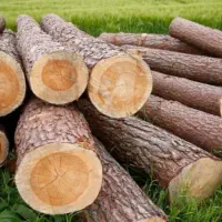 بریدن چوب.همه نوع چوب