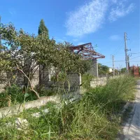 ۲۳۱متر زمین بافت زرد شهرکی پروانه دار در همت آباد|فروش زمین و ملک کلنگی|شیرود, |دیوار