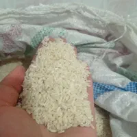 فروش برنج محلی|خوردنی و آشامیدنی|ایذه, |دیوار