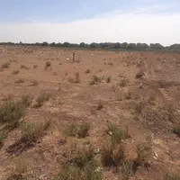 زمین / صنعتی /تهاتر/ رامشان