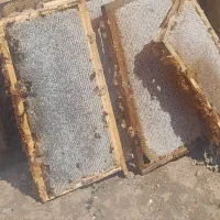 اکسیرزاگرس