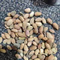 مغز کال|عمده‌فروشی|مشهد, آزادشهر|دیوار