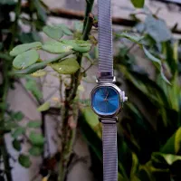 ساعت دنیل ولینگتون