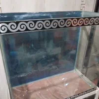 آکواریوم شیشه خم|ماهی|تهران, توحید|دیوار