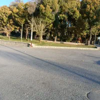 نیازمند همخونه