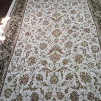 رو فرشی ها نو هستن|روفرشی|اهواز, ۲۰۰دستگاه|دیوار