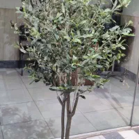درخت برگ زیتون مصنوعی