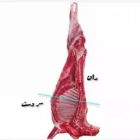 گوشت گوسفندی نرینه گرم(کالابرگ و آزاد)|خوردنی و آشامیدنی|نیشابور, فضل|دیوار