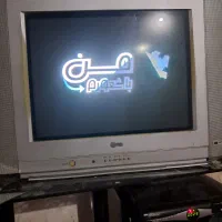 تلوزیون