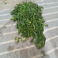 کشاورزی|خدمات باغبانی و درختکاری|تویسرکان, |دیوار