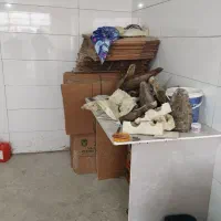 شراکت|مجسمه، تندیس، ماکت|نیشابور, هفده شهریور|دیوار