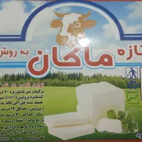 پنیر سطلی ۱۰کیلویی خالص پرچرب|عمده‌فروشی|اهواز, شهرک الهیه|دیوار