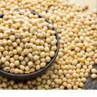 سویا رقم دی پی قس 400 کیلو