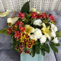 باکس گل|گل و گیاه طبیعی|مشهد, هنرستان|دیوار