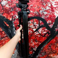 دوربین dslr نیکون D5300 جم|دوربین عکاسی و فیلم‌برداری|جم, |دیوار