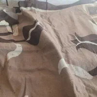 ب صورت تکی وجمعی|فرش|زابل, |دیوار