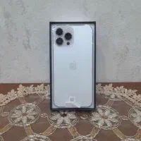 13pro