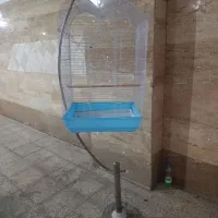 فقط پرنده به همراه پایه