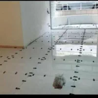 بنا ساختمان وکاشی وسرامیک 0 /100|خدمات پیشه و مهارت|اهواز, شریعتی جنوبی|دیوار