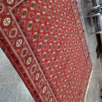 فرش دست بافت به قیمت فرش ۷۰۰ شانه ماشینی|فرش|مشهد, آبکوه|دیوار