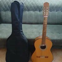 گیتار دالاهو