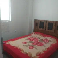 اجاره روزانه آپارتمان|اجارهٔ کوتاهمدت ویلا و باغ|بندر گناوه, |دیوار