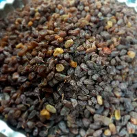 کشمش|خوردنی و آشامیدنی|اردکان, |دیوار