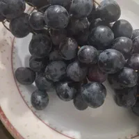 انگور سیاه درجه یک