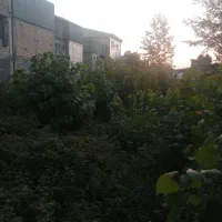 فروش-زمین-متراژ-صدمتری