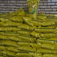 برنج عنبر بو|عمدهفروشی|باوی, |دیوار