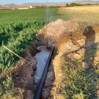 لوله کشی قطره ای بارانی با اکیپ مجرب و حرفه ای|خدمات باغبانی و درختکاری|زنجان, |دیوار