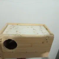 قفس و لونه عروس هلندی|لوازم جانبی حیوانات|خورموج, |دیوار