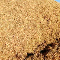 فروش کاه لوبیا