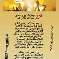 بیمه بازنشستگی پاسارگاد با سپرده گذاری در طرح طلا|خدمات مالی، حسابداری، بیمه|دورود, |دیوار