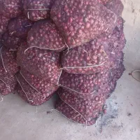 پیازریز برای ترشی یک تن