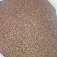 بذریونجه حاجی کوشش