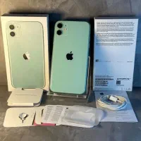Iphon 11|موبایل|رشت, کاکتوس|دیوار