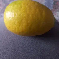 لیموترش‌‌آبدار