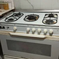 فرگاز سینجر اصلی دوتا جوجه گردون داره