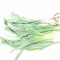 پر موسیرتازه  کوهرنگ  زیر قیمت بازار