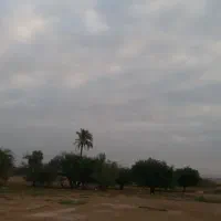 زمین باغی روستای کنارکوه