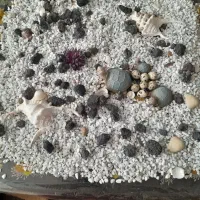 تلفن|تلفن رومیزی|بافت, |دیوار