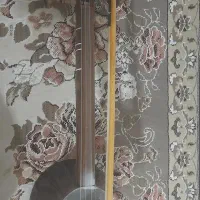 کمانچه آموزشی