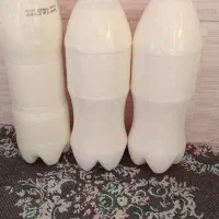 دوغ گوسفند کورمز