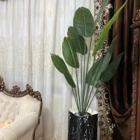 پرنده بهشتی