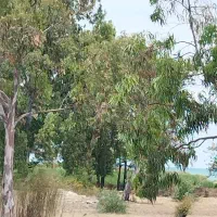فروش آپارتمان ۱۸۰ متری ۳ خوابه