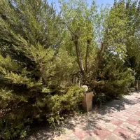 ۲۱۶متر- سنددار - کنتور آب برق گاز سهیلیه زعفرانیه