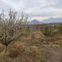 باغ-1600-متر-جلفا